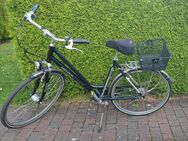 Koga Miyata Tourer 8 Damenrad blau-grau - Unna