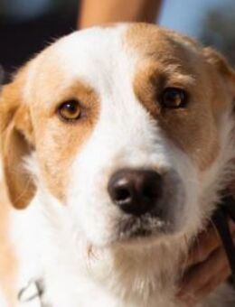 CHARLIE🩵Lieb.Aufgeschlossen.Besonders. - Hamburg