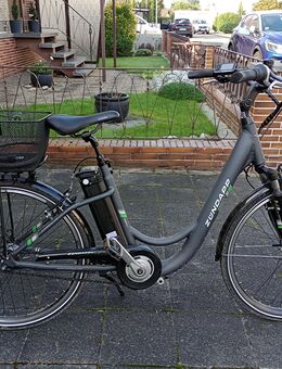 E-Bike Zündapp Green 3.7 26 Zoll Farbe Grau sehr guter Zustand - Bobenheim-Roxheim