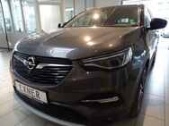 Opel Grandland X 1,6 Turbo HYBRID ULTIMATE Tech.Paket - Gera