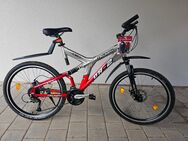 Verkaufe ein Fahrrad der Marke TRIUMPH 26Zoll 24Gang Scheibenbremse Aluminium Rahmen - Roding Zentrum