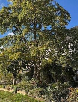 SOFORT-BESICHTIGUNG-VEREINBAREN! -BEZUGSFERTIG-ENERGIEKLASSE:"B"! SCHICK & MODERN! - Gera