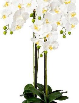 Kunstorchidee Phalaenopsis im Resintopf Orchidee Phalaenopsis, Creativ green, Höhe 99 cm, mit Real-Touch-Blüten