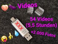 USB Stick mit 54 Videos (5,5h private Videos) + 2.000 Bilder - Würzburg