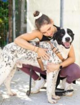 Cookie sucht einen Platz als Einzelprinz - München