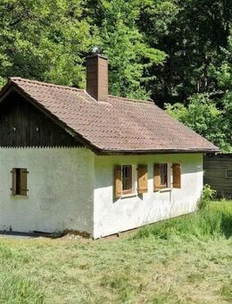 Preis Korrektur ! Großes Grst. mit Jagdhütte bei Battweiler / AW159 - Battweiler