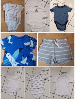 Jungen Kleidungs Paket gr 50/56 - Dülmen