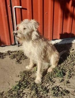 Berci möchte viel erleben - Nordwalde