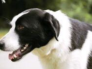 Freundliche KLEOPATRA sucht ♥️ - München