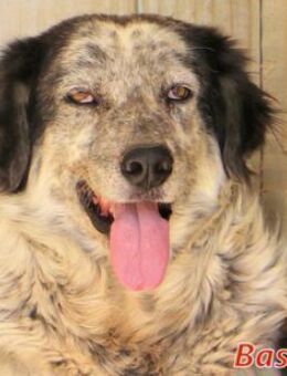 BASILIO - Opi muss da raus! - Regensburg