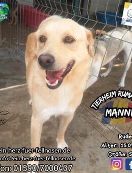 MANNI-eine eigene Familie wäre schöööön! - Waakirchen