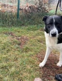 Helga - kontakfreudige ältere Dame - Berlin