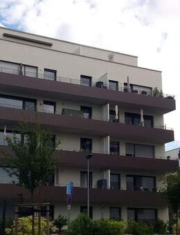 Helle 3-Zimmer-Wohnung mit großem Balkon - Dresden