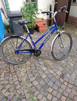 Damenfahrrad mit Rücktritt - Hofheim (Taunus)