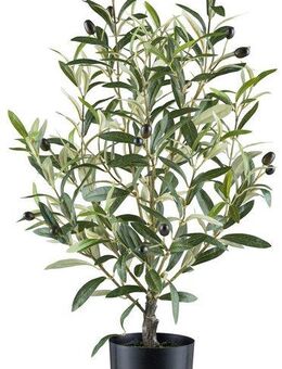 Kunstpflanze Olive, Creativ green, Höhe 70 cm, mit detailgetreuer Gestaltung