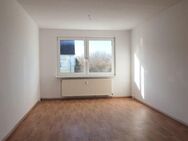 geräumige frisch renovierte 3 Raum Wohnung - Bad Sülze