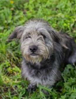 SHARON - das volle Programm Familie - Overath