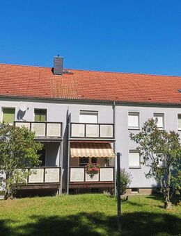 helle 3 Raum Wohnung im grünen mit Balkon - Riesa
