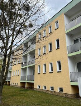 Renovierte Singlewohnung am Stadtrand - Wittenberg (Lutherstadt)