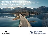 VW T-Cross, 1.0 TSI, Jahr 2024 - Weingarten (Baden)