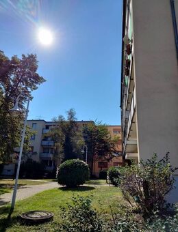 Kapitalanlage! Vermietete 2-Zimmerwohnung mit solider Rendite - Ludwigshafen (Rhein)