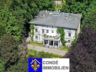 Villa im klassizistischen Stil mit großer Parkanlage zu verkaufen. Mehrfamilienhaus, Villa im Park - Radevormwald (Stadt auf der Höhe)