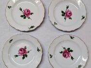 4 Teller Porzellan Teichert Werke Meissen Wildrose Rose ⌀ 17 cm - Mendig