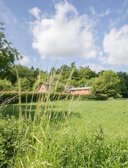 Reetdachkate an der Ostsee in idyllischer Alleinlage mit drei Wohnungen + 2,2 ha Land - Gelting