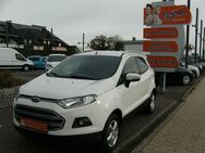 Ford EcoSport, 1.0 EcoBoost, Jahr 2016 - Rutesheim