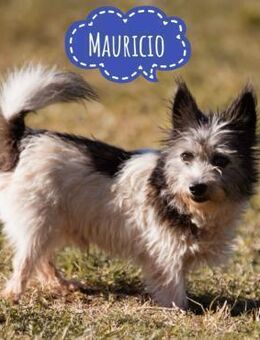 Mauricio ein tapferer Schatz - Flörsheim-Dalsheim