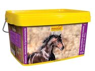 Marstall Force - 10 kg Eimer Marstall Force Mineralfutter für Pferde