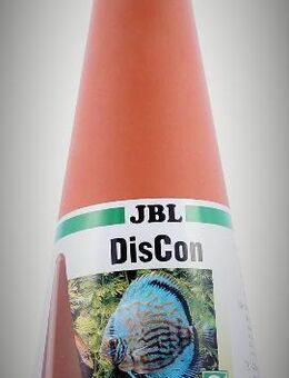 JBL DisCon Diskus Laichkegel Skalar Ablaich Kegel - Verden (Aller)