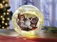 Glaskugel mit Beleuchtung Katzen Glaskugel Weihnachten XMas 17881 in 75217