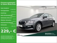 Skoda Scala, 1.0 TSI, Jahr 2023 - Neuss