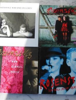 Rosenstolz 3 CDs + Digipak Wir sind am Leben CD+DVD zus. 10,- - Flensburg
