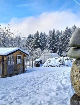 ***Ein Traum für Selbstversorger- zu jeder Jahreszeit*** - Kirchberg (Wald)