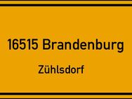 Großes Baugrundstück 1276 m² bei Berlin / Zühlsdorf - Mühlenbecker Land