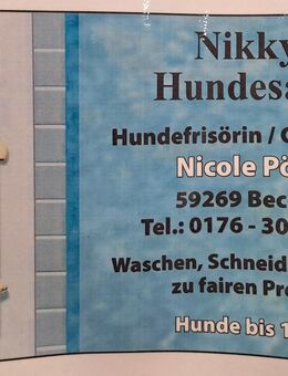 Hundefrisörin/Groomerin in Beckum - Beckum
