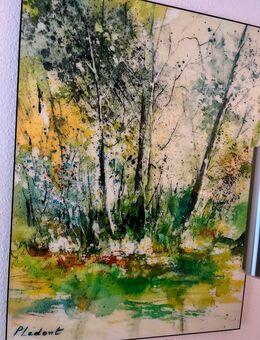 Bild Wald - Enzklösterle