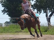 Horsemanship, westernreiten - Neulewin