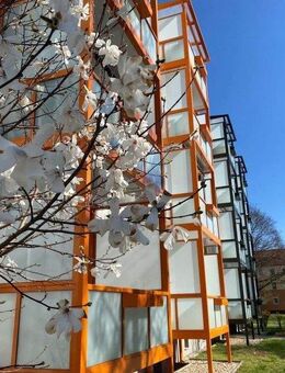 Erdgeschosswohnung in beliebter Wohnlage - Dessau-Roßlau