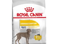 Royal Canin Maxi Dermacomfort - 12 kg