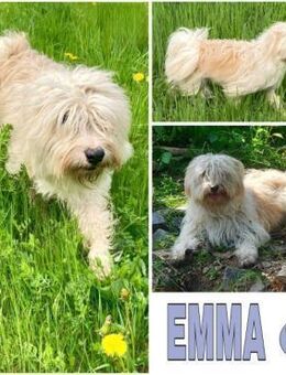 EMMA -benötigt Konsequenz & Grenzen- - Duisburg