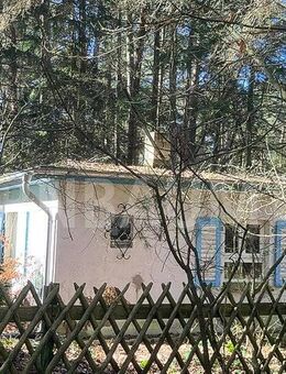 Großzügiges Grundstück mit charmantem Häuschen an der Ostsee - Ihr neuer Rückzugsort in Strandnähe - Lubmin