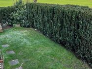 *** HITTFELD-EDDELSEN ! * SCHÖNE DOPPELHAUSHÄLFTE ÜBER 2 EBENEN * SONNIGE TERRASSE * GARTEN * EBK * VOLLBAD * 2 STELLPLÄTZE * RUHIGE LAGE *** - Seevetal