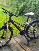 Damenfahrrad Raleigh in 81927