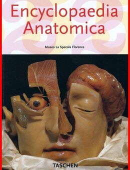 Encyclopaedia Anatomica - Köln
