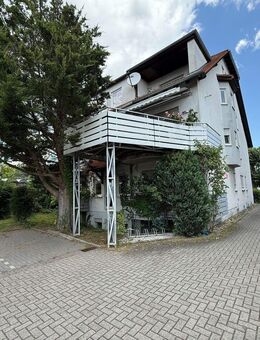 **3-Zimmer-Souterrain-Wohnung in Maintal - ideale Kapitalanlage** - Maintal