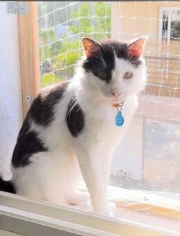 Felix - Bruderherz von Laura - Kirchheim (München)