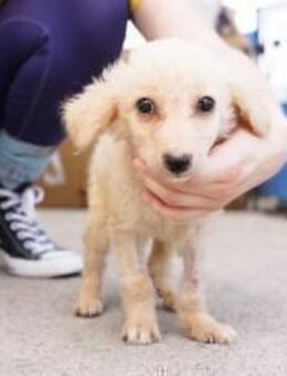 Milky Way sucht sein Zuhause - München